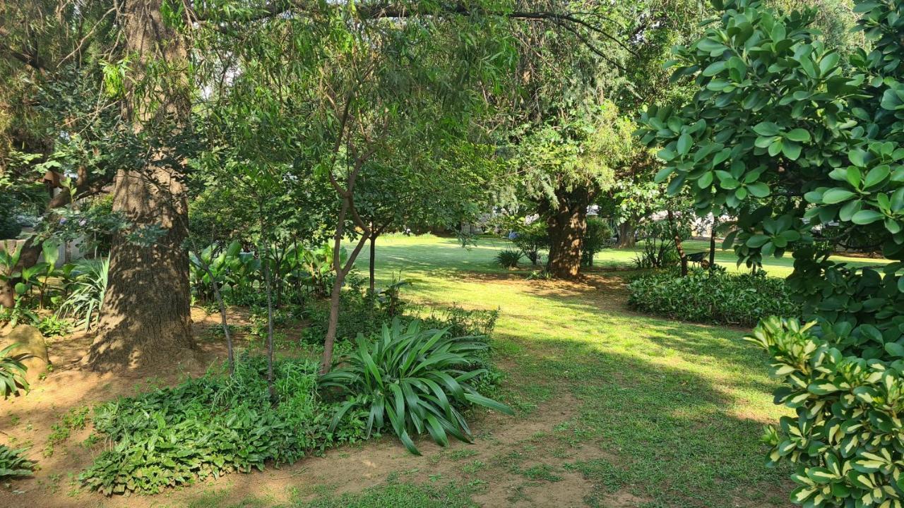 Silken Trap Accommodation No Loadshedding Johannesburg Luaran gambar