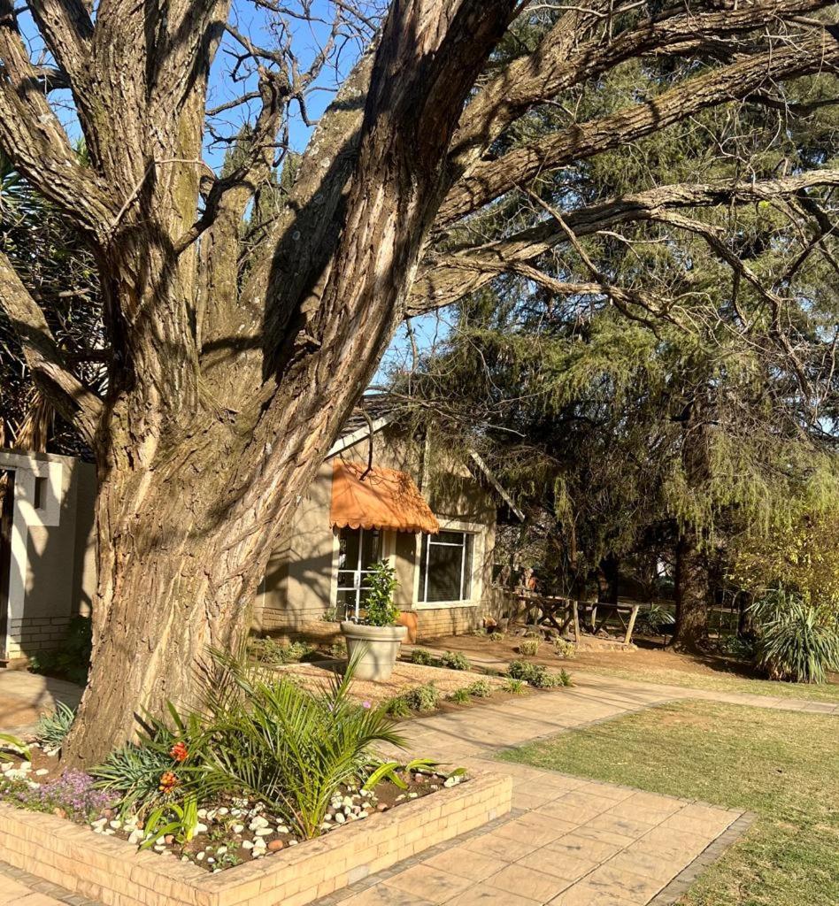 Silken Trap Accommodation No Loadshedding Johannesburg Luaran gambar